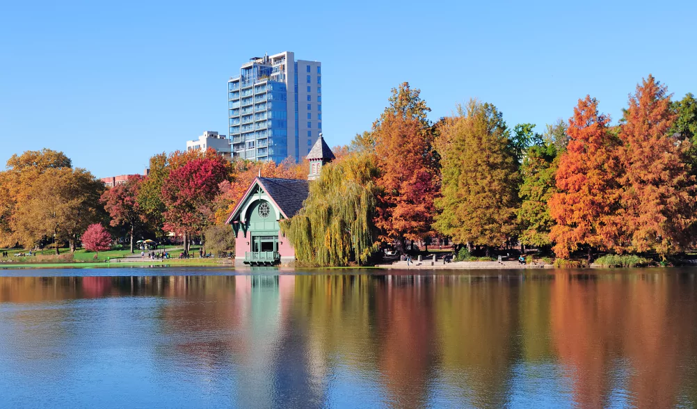 Calgary Image